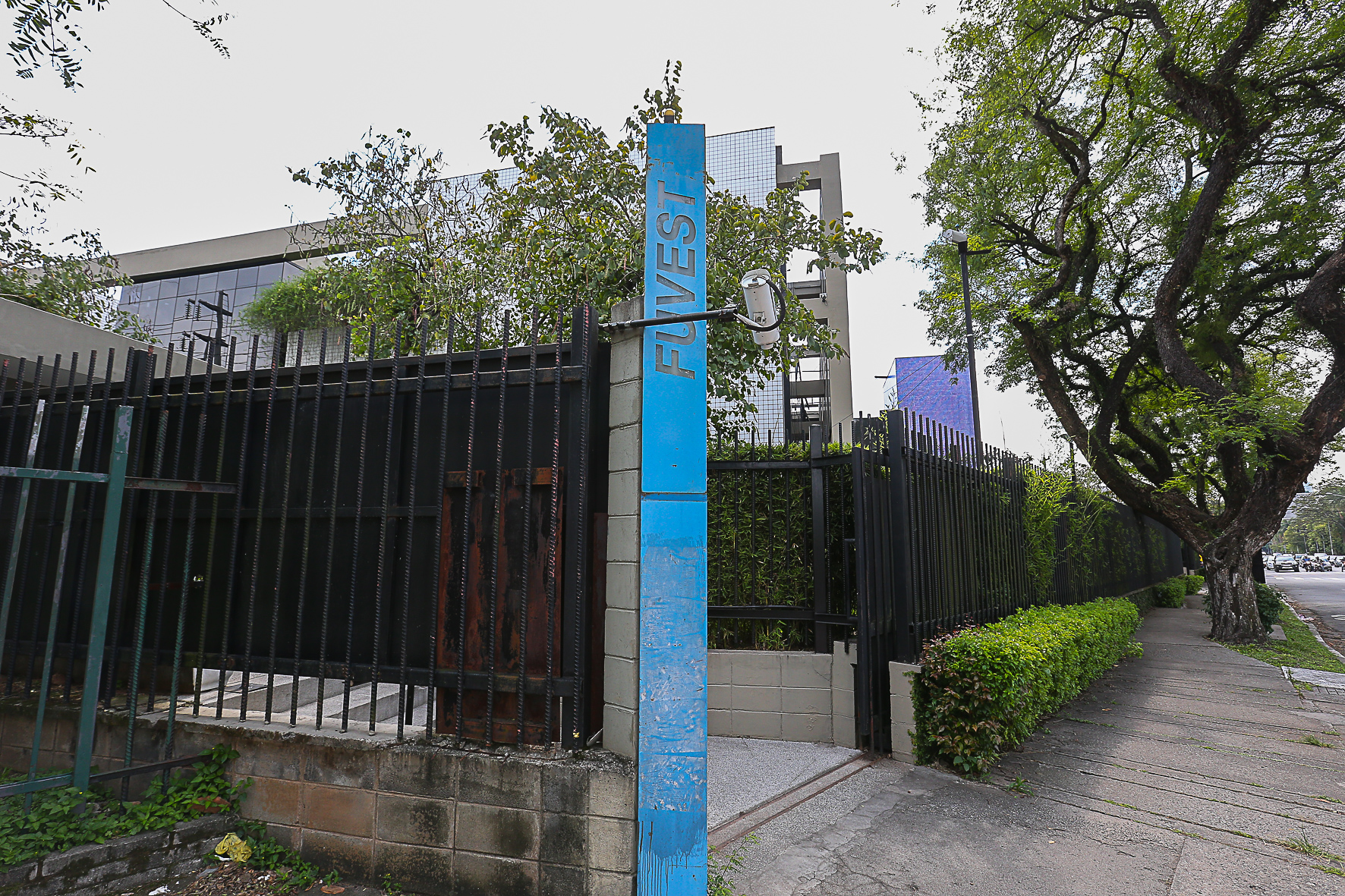 Vestibular Fuvest 2019 – Resultado do pedido de isenção/redução de taxa